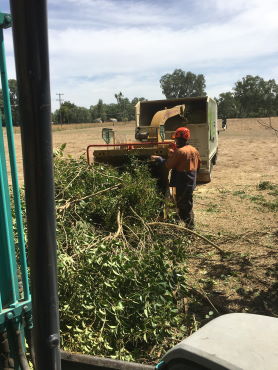 Riverina Tree Care